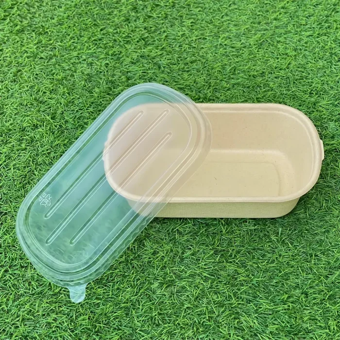 bagasse-bowl-04-2