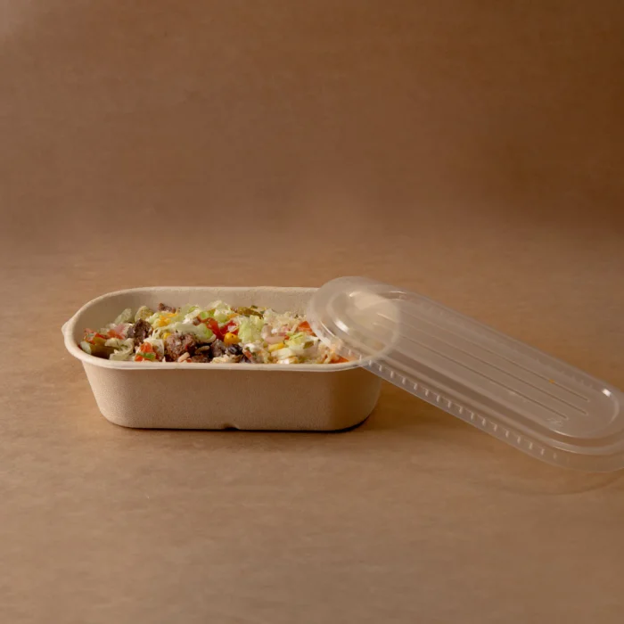 bagasse-bowl01