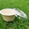 bagasse-bowl03