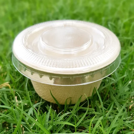 bagasse-bowl03-2