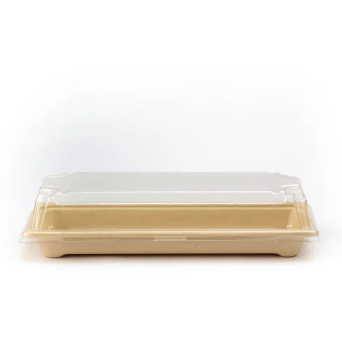 bagasse-bowl05-2