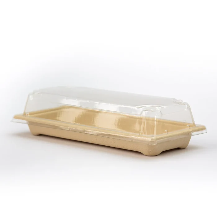 bagasse-bowl05-3