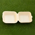 bagasse-bowl06-5