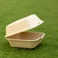 bagasse-bowl06-6