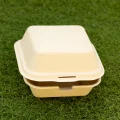 bagasse-bowl06-7