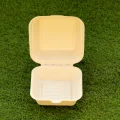 bagasse-bowl06-9