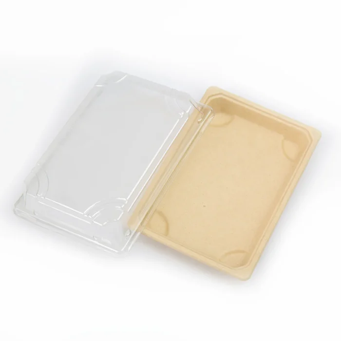 bagasse-bowl07-4