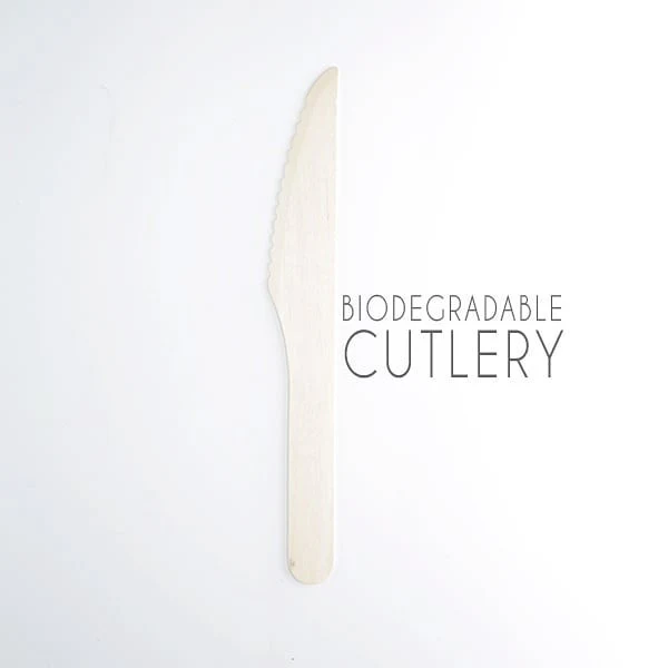 cutlery05