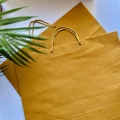 paper-bag08-4