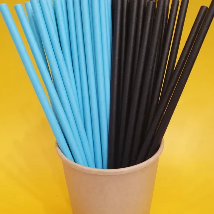 paper-straw02