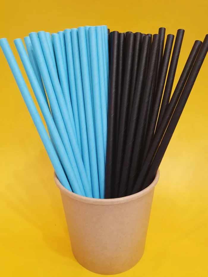 paper-straw02